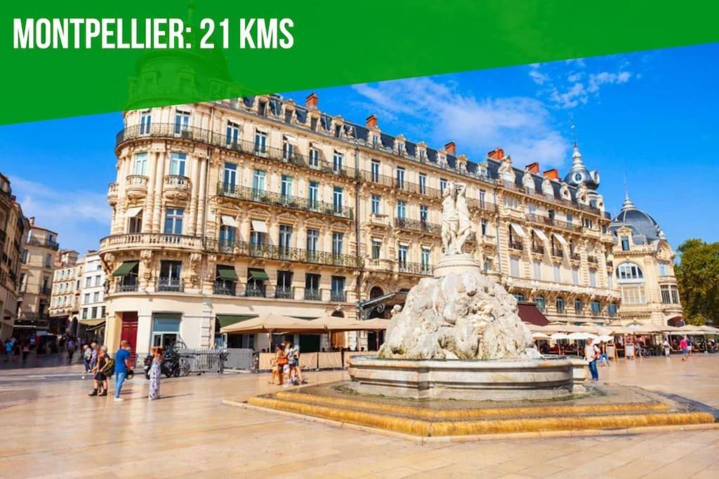 Le Palais Maya - Lumineux - Wifi La Grande-Motte Buitenkant foto